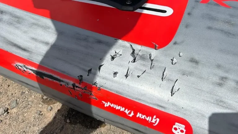 Alba Frey desmonta el alarmismo tras el ataque de un tiburón: “Es un caso aislado, lejos de la costa”