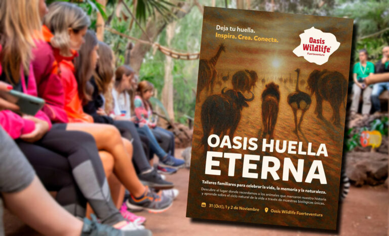 Oasis Wildlife Fuerteventura dedica el fin de semana a la memoria y conservación animal con “Huella Eterna Oasis”