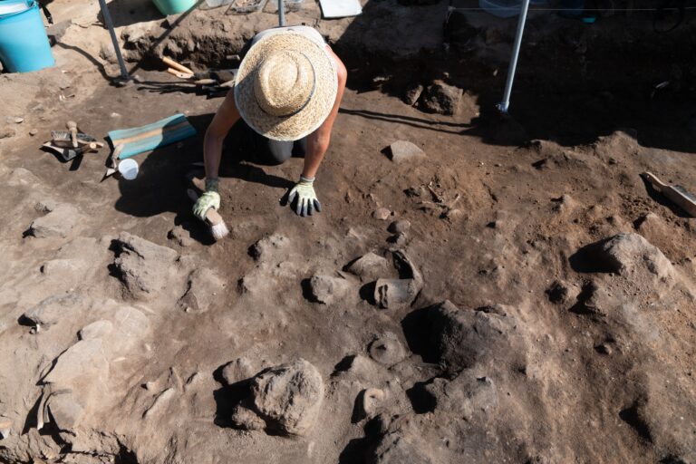 El Cabildo de Fuerteventura y Museos de Tenerife inician la décima excavación en el yacimiento Lobos I