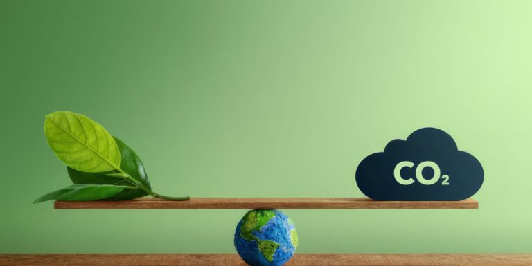 Pájara acogerá un taller gratuito sobre huella de carbono dentro del proyecto Soy Canary Green