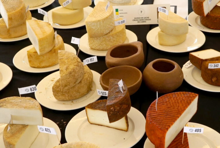 Fuerteventura brilla en los Premios Agrocanarias 2025 con una amplia cosecha de galardones al queso majorero